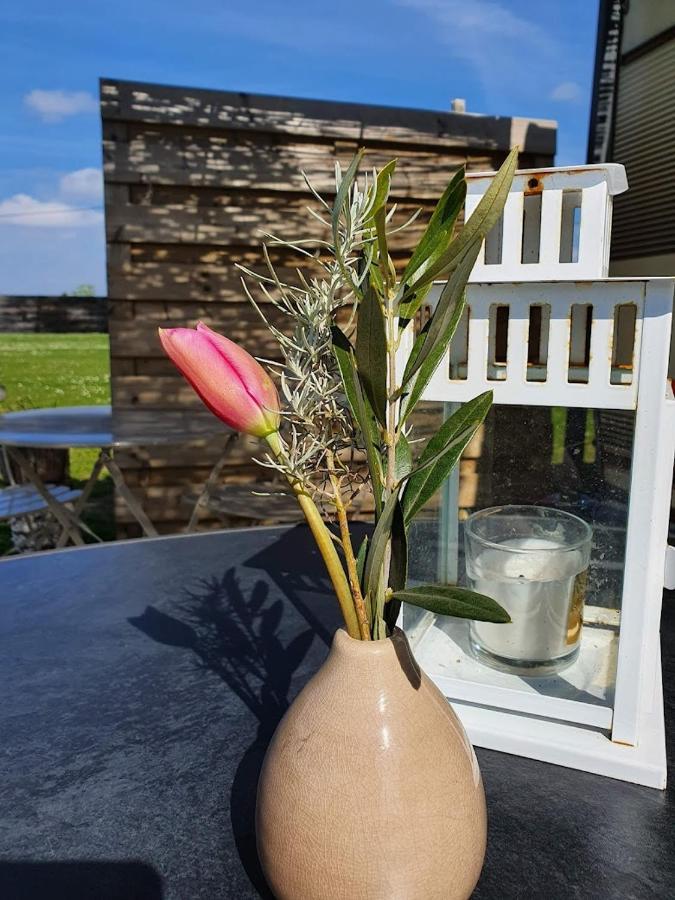 Houten Huisje Tussen Paarden Nieuwerkerken Экстерьер фото