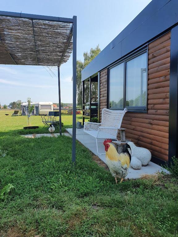 Houten Huisje Tussen Paarden Nieuwerkerken Экстерьер фото