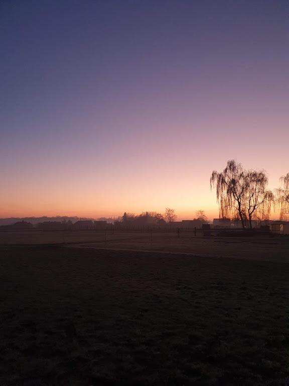 Houten Huisje Tussen Paarden Nieuwerkerken Экстерьер фото