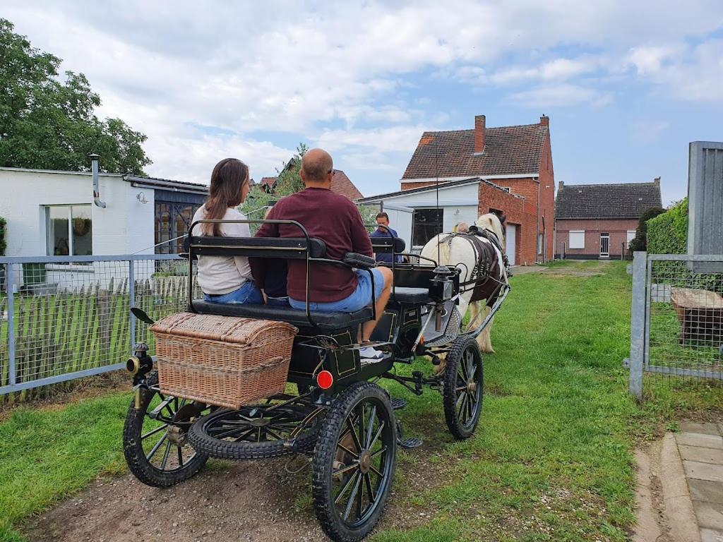 Houten Huisje Tussen Paarden Nieuwerkerken Экстерьер фото