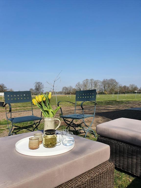 Houten Huisje Tussen Paarden Nieuwerkerken Экстерьер фото
