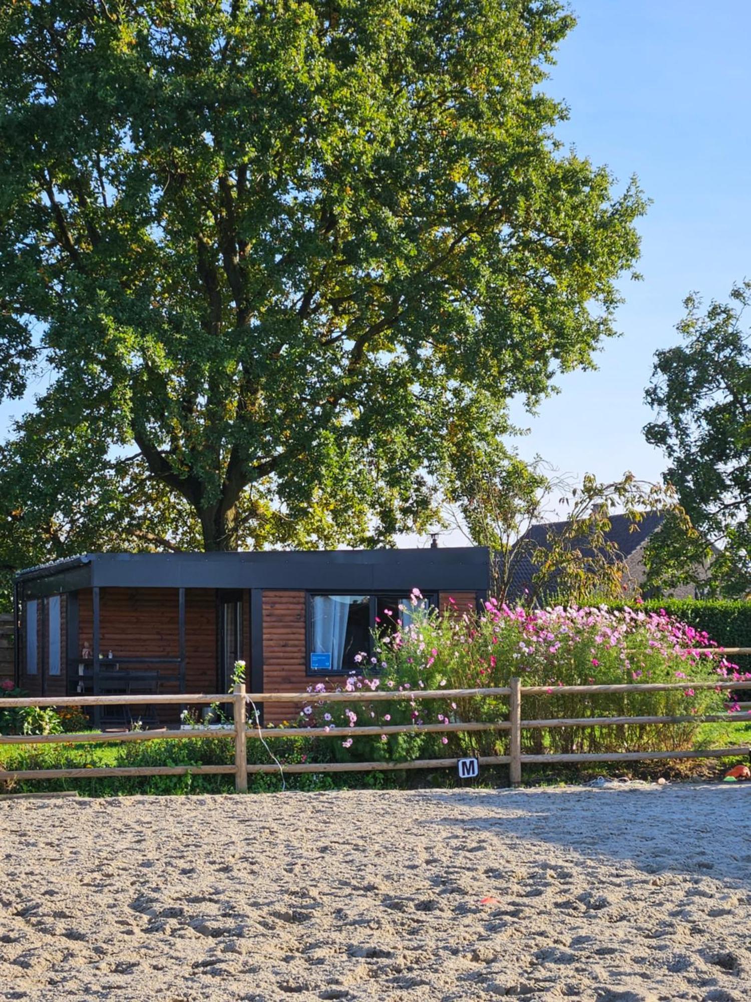 Houten Huisje Tussen Paarden Nieuwerkerken Экстерьер фото