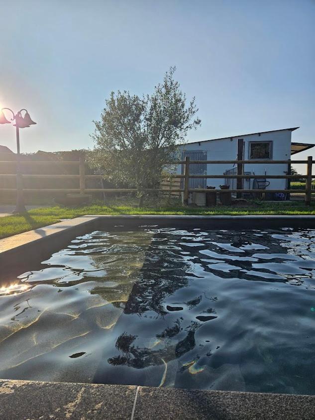 Houten Huisje Tussen Paarden Nieuwerkerken Экстерьер фото