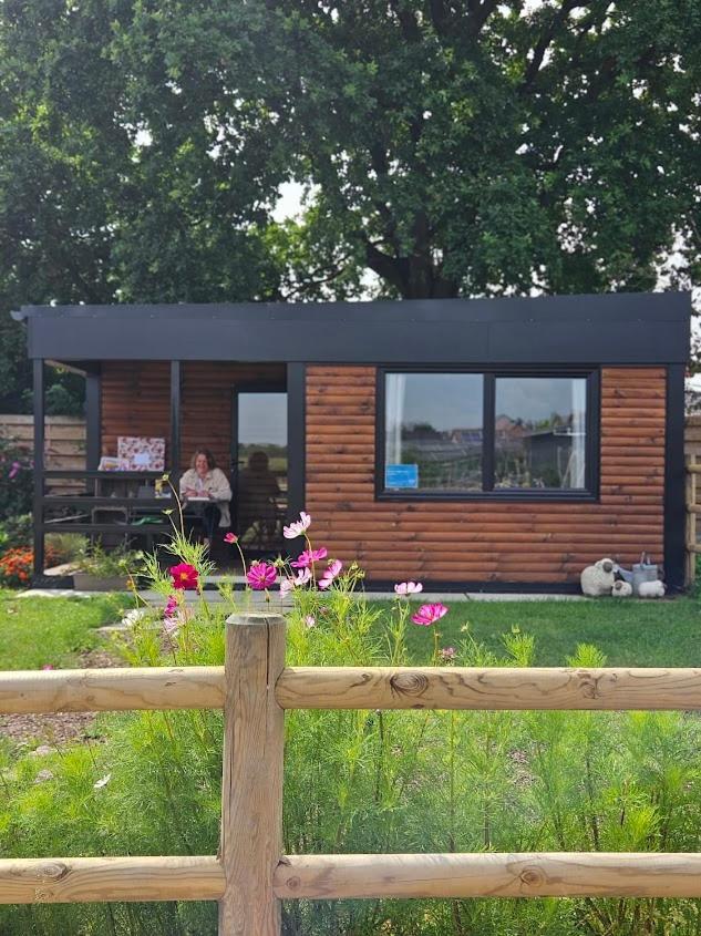Houten Huisje Tussen Paarden Nieuwerkerken Экстерьер фото